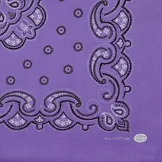 ペイズリー13 終了.webp