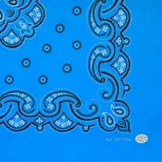 ペイズリー10 終了.webp