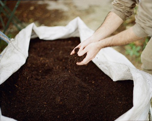 BioLife: Zero Waste, Living Compost Inoculum - 5 Litres | Compost Club