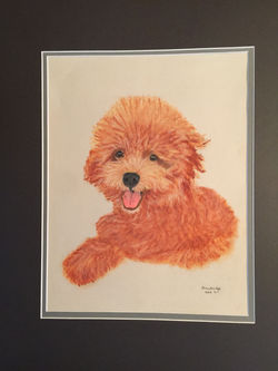 3B82F94C-1F0A-4D7A-88E1-ACE7138C08B2