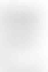 dinkus rose illustration.jpg