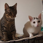 IMG_6156 2_edited.jpg