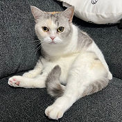 IMG_6156 2_edited.jpg