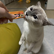 IMG_6156 2_edited.jpg