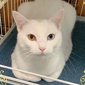 IMG_6156 2_edited.jpg