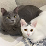 IMG_6156 2_edited.jpg