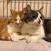 IMG_6156 2_edited.jpg