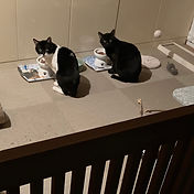 IMG_6156 2_edited.jpg