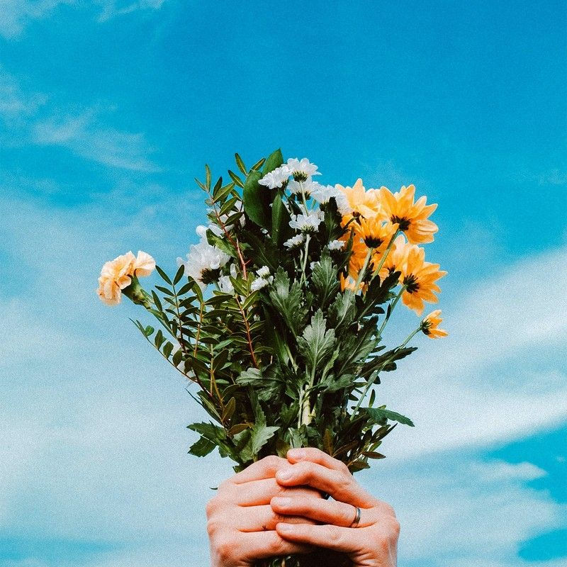 サクソフォン 佐藤杏奈