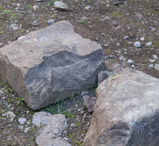 DSCF0296.jpeg