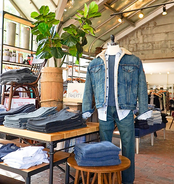 A display of men's clothing in warm lighting with a plant decoration