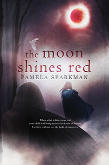 PSMoonBookCover6x9_BW_MEDIUM.jpg
