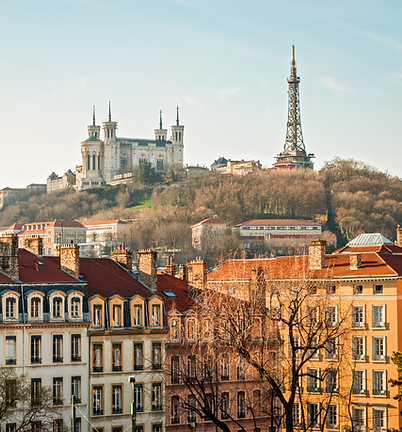 lyon.png