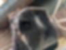 PXL_20250518_080900071.MP.jpg