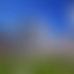 Tag der internationalen SPANISCHEN Sprachen in der UNO-CITY