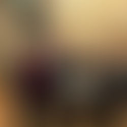 "Die Helfer Wiens" Blackout-Vortrag: Vorbereitung auf Krisensituationen