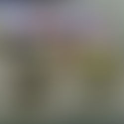 Feuerwehr Übung in Polen bei unserem Kooperationspartner.