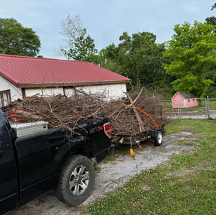 Shrub removal services near me