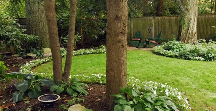 West Lawn Landscape Lebanon Tn Landscaping And West Lawn Landscape Lebanon Tn Landscaping And