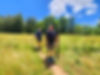Private Appalachian trail hiking guide service