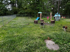 Lawn mowing near Oxford AL