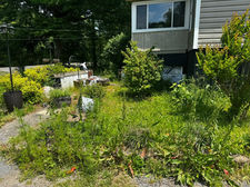 Best lawn mowing company Glencoe AL