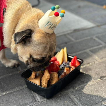 Dog friendly restaurants in Columtia TN