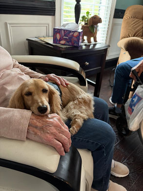 A place for mom, senior assisted living in Nashville TN