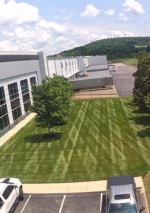Donelson lawn mowing 
