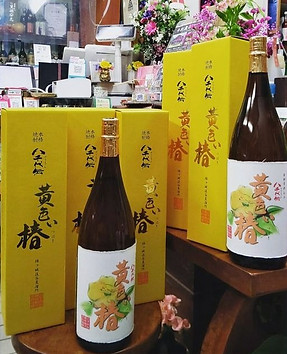 黄色い椿_edited.jpg