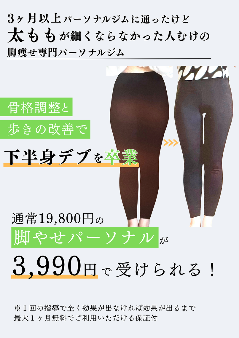 LP (8).png