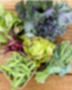 Thumbnail: Summer CSA