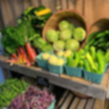 Spring CSA