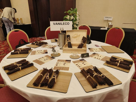 Participating in the 15th FlavourHorizons event
