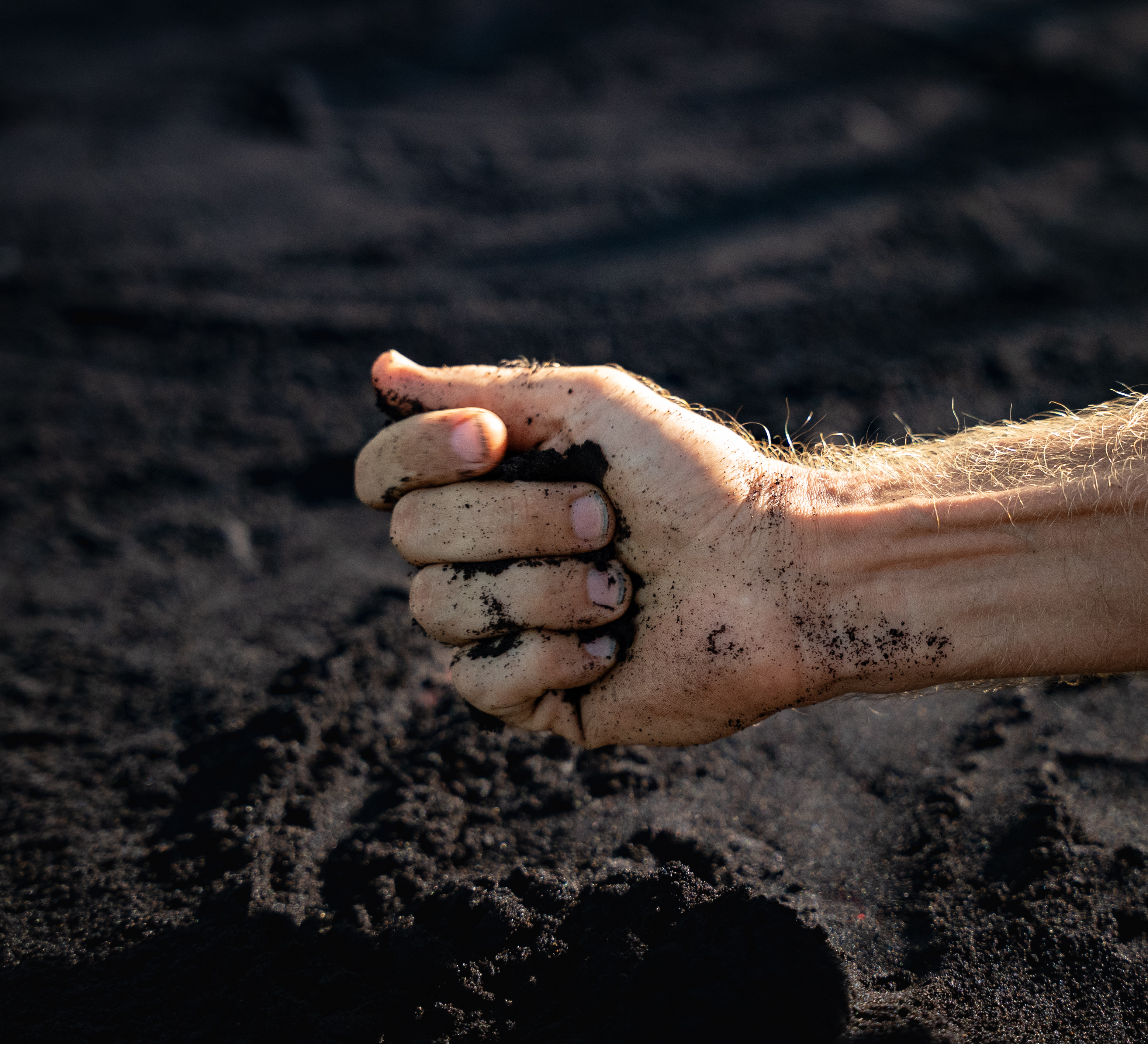 A hand squeezing dark compost on a vanilla farm in Madagascar