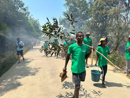 Protecting Madagascar’s Forests: Combating Fires and Building a Sustainable Future!