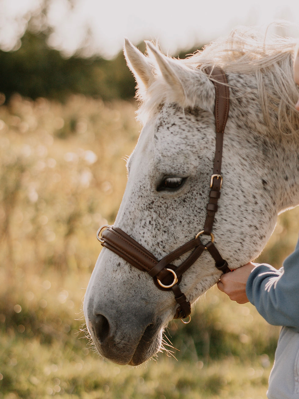 Thumbnail: MeerZaum Vegan