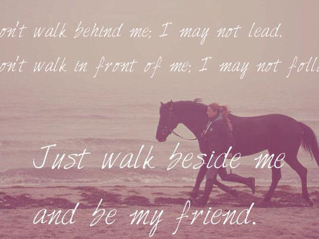 Bodenarbeit, die Grundlage für alles