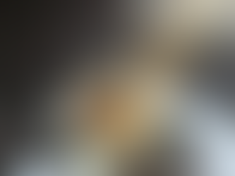 Historias bajo la luna: Propósitos sin propósito