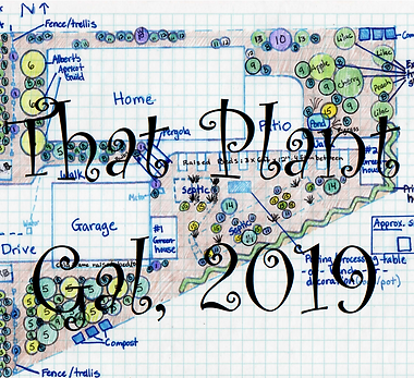 2019 Design.png