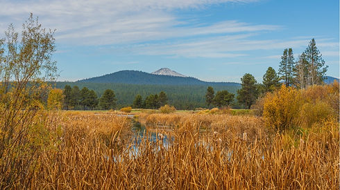 MtBachelor1.jpg