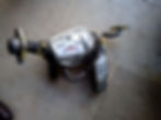 ree