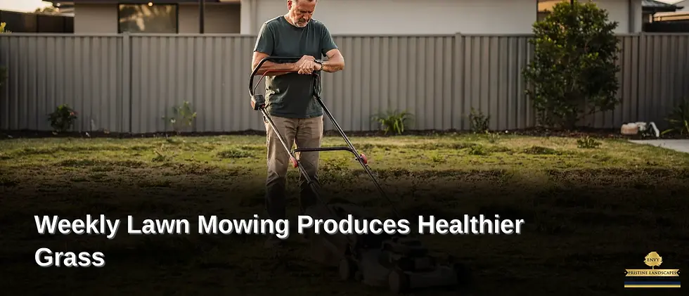 Why Weekly Lawn Mowing Produces Healthier Grass