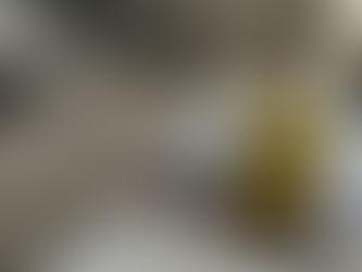 Water Damage and Your Floors: What to Do in the First 24 Hours to Save Your Carpet and Hardwood