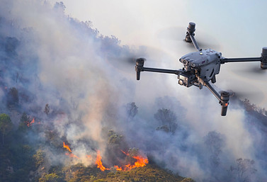 Disaster Response and Emergency Services.jpg