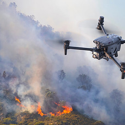 Disaster Response and Emergency Services.jpg