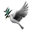 oliveDove.gif