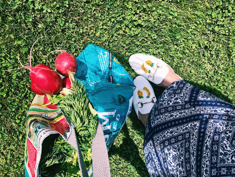 SUMMER 2018 Fruity Trend
+
spring {break}down
