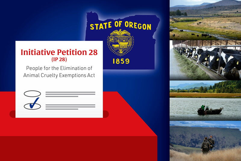 Oregon PEACE Act