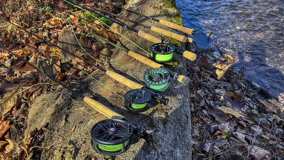 Beginner Fly Rod Setups